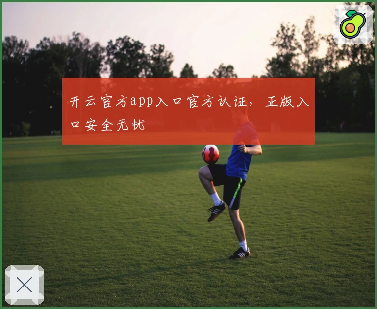 开云官方app入口官方认证，正版入口安全无忧