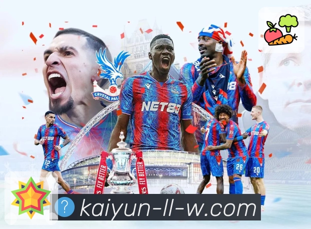 开云新手友好App